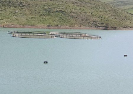 افزایش ۱۰ درصدی حجم آب سدهای کردستان