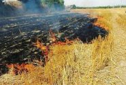 وقوع ۲۶۷ فقره آتش‌سوزی در مراتع کردستان